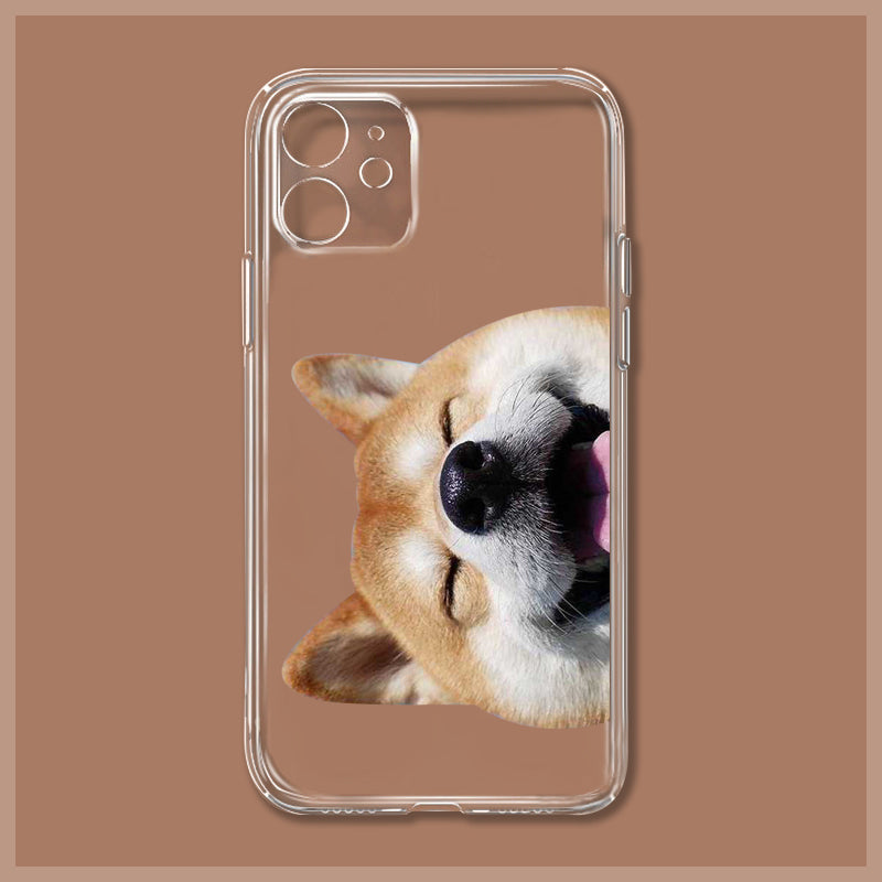 Shiba Hülle