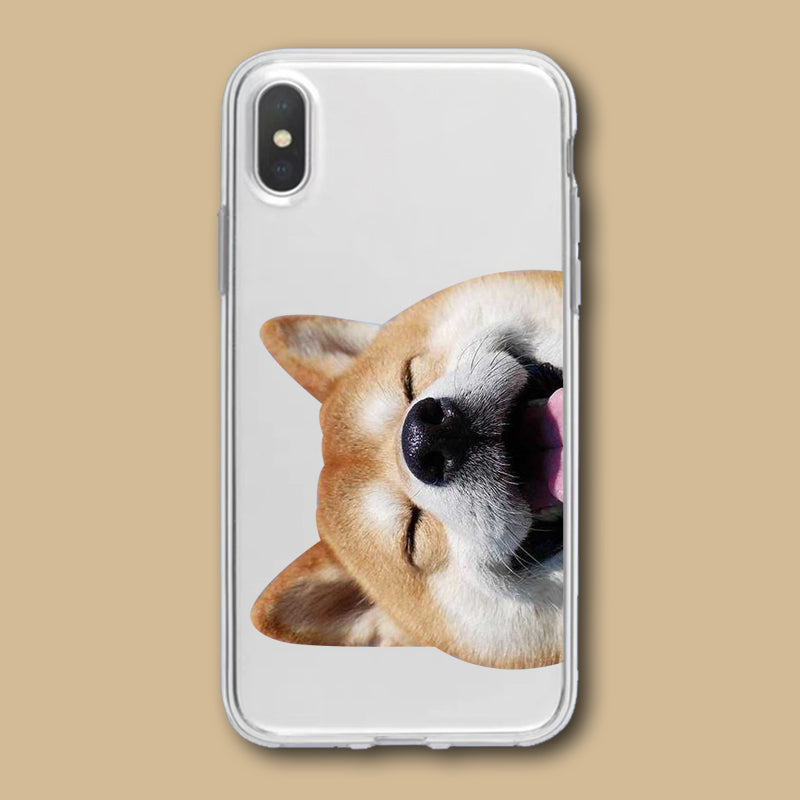 Shiba Hülle