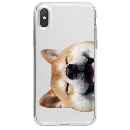 Shiba Hülle